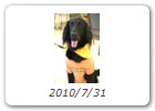 2010/7/31