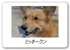 ミッキークン