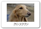 クリノスケクン