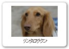 リンタロウクン