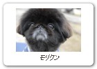 モリクン