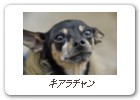 キアラチャン