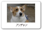 アンチャン