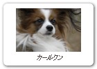カールクン