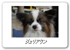 ジュリアクン
