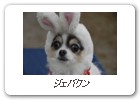 ジェバクン