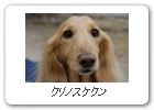 クリノスケクン