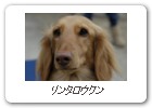 リンタロウクン