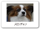 メロンチャン