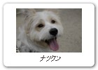 ナツクン