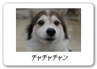 チャチャチャン