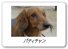パティチャン
