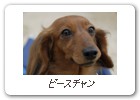ピースチャン