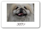 コロクン