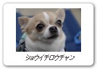ショウイチロウチャン