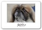 タロクン