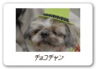 チョコチャン