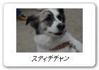 スティチチャン