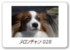 メロンチャン 028