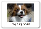 ラムネチャン048