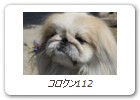 コロクン112