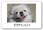 モカチャン123