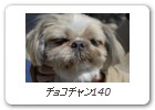 チョコチャン140