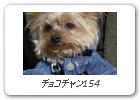 チョコチャン154