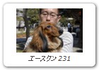エースクン 231