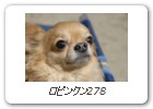 ロビンクン278