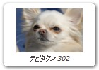 チビタクン 302