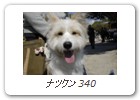 ナツクン 340