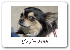 ピノチャン396