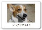アンチャン 441