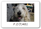 P.Dクン481