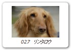 027　リンタロウ