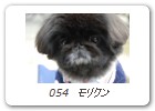 054　モリクン