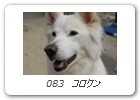  083　コロクン