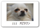  111　チビタクン