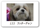  133　ラッキーチャン