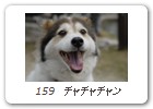 159　チャチャチャン