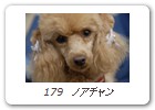 179　ノアチャン