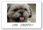  199　コタロククン