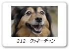  212　クッキーチャン