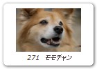 271　モモチャン