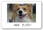  468　ケンクン