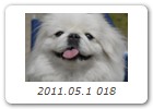2011.05.1 018