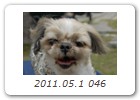 2011.05.1 046