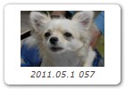 2011.05.1 057