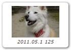 2011.05.1 125